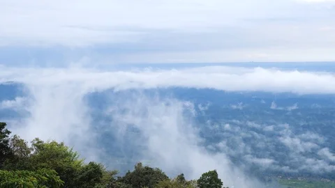 Landscape in a rain forest completely covered with fog, Karnataka, India 動画素材 118435780