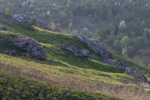 Landscape in the rays of the setting sun. Stock Photos