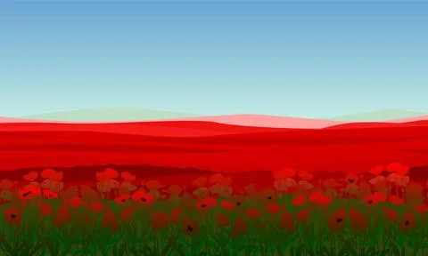 Landscape with red poppies in the field, vector illustration Stock Illustration
