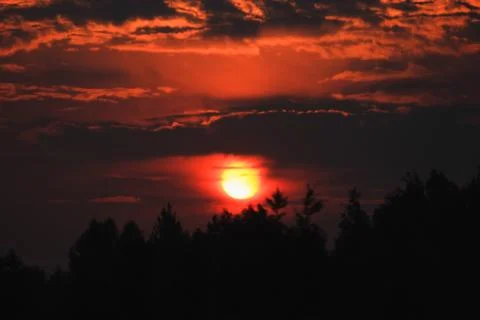 Landscape, red sunset on a background of trees, nature and the sun Stock Photos