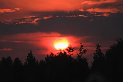 Landscape, red sunset on a background of trees, nature and the sun Stock Photos