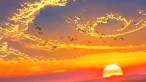 Landscape, reddish light Sunset. Stock Footage 232869280