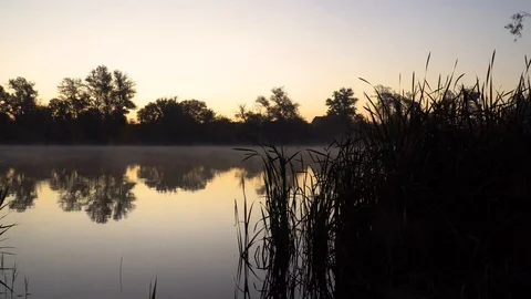 Landscape with reeds on first plan and smoke on the water. Stock-Footage 126552888