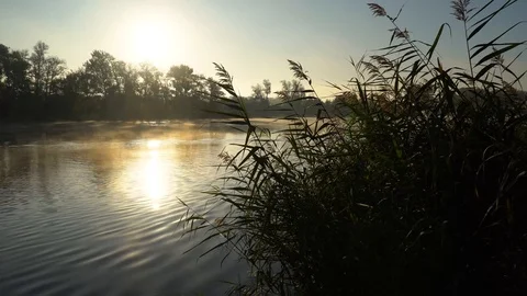 Landscape with reeds on first plan and smoke on the water. Stock-Footage 126553039