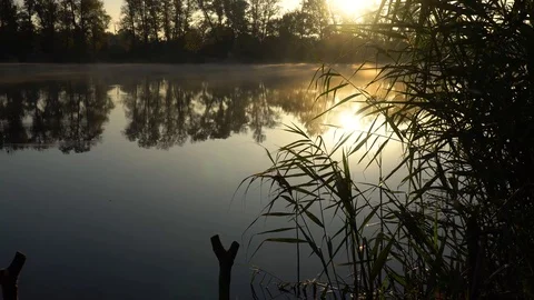 Landscape with reeds on the right first plan and smoke on the water surfce. Stock-Footage 126552968
