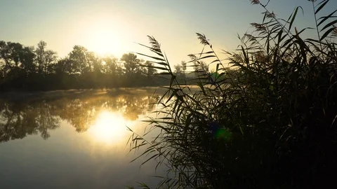Landscape with reeds on the right first plan and smoke on the water surfce. 스톡 동영상 126552982