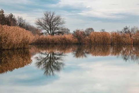 Landscape with reflection in the lake Stock Photos