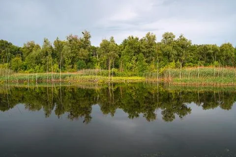 Landscape with reflection in the lake Stock Photos
