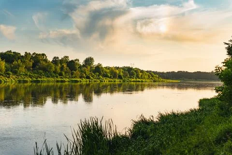 A landscape with a reflection of the plants growing along the banks of the .. Stock Photos