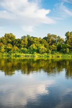 A landscape with a reflection of the plants growing along the banks of the .. Stock Photos