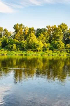 A landscape with a reflection of the plants growing along the banks of the .. Stock Photos
