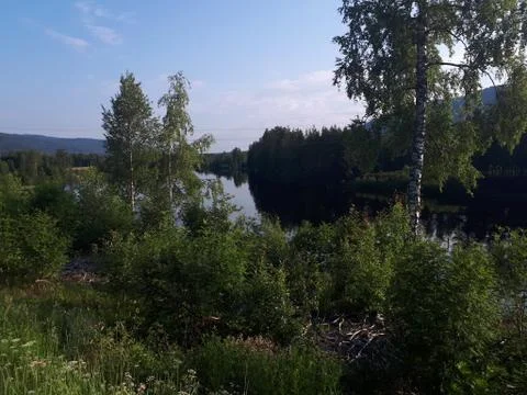 Landscape with the reflection of the sky and trees in the blue water Foto stock
