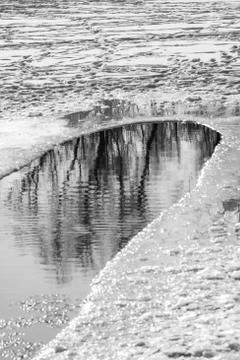 Landscape reflection of trees in the forest in the ice hole on a snowy ice la Stock Photos