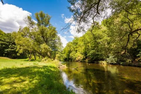 Landscape with reflection of water, clouds, forest, trees Stock-Fotos