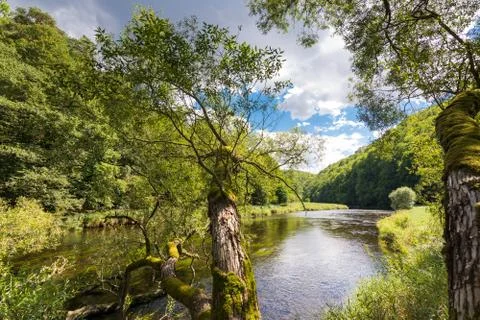 Landscape with reflection of water, clouds, forest, trees Stock Photos
