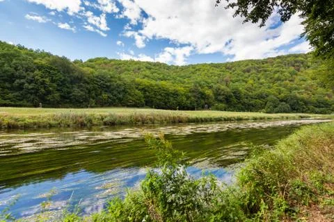Landscape with reflection of water, clouds, forest, trees Stock-Fotos