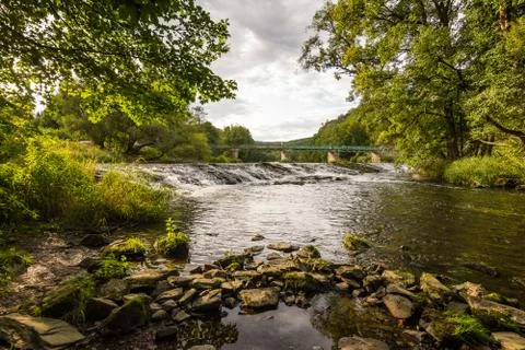 Landscape with reflection of water, clouds, forest, trees Stock-Fotos