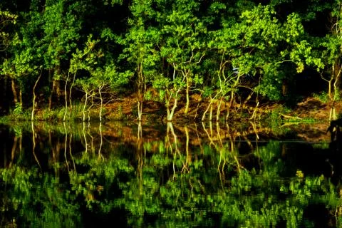 Landscape reflections 库存照片