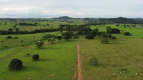 Landscape of region Video stock 234224699