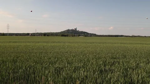 Landscape restoration concept Stock Footage 337941701