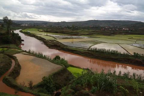 Landscape with the rice fields and Onive river at Antanifotsy,Madagascar Stock Photos