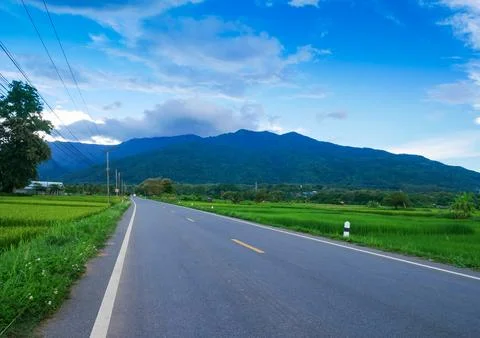 Landscape of rice fields, mountains and concrete roads Stock Photos
