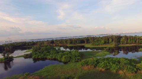 Landscape with Rio Negro Bridge on background, Manaus, Brazil Stock Footage 54618158