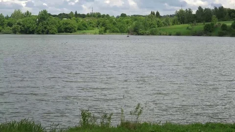 The landscape,the ripples on the river,in front of tall grass,in the background Stock Footage 76208150