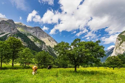 Landscape in the Risstal valley near the Eng Alm in Austria Stock Photos