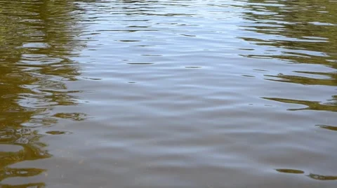The landscape - the river and the forest Stock Footage 56828577