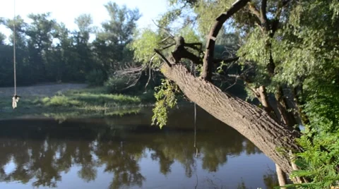 The landscape - the river and the forest Stock Footage 65090444