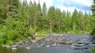 Landscape With River And Forest In Karelia, 4K Stock Footage