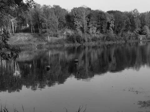 Landscape with river and reflection in black and white image Stock Photos