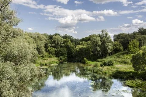 Landscape of the river and trees on a background of blue sky Stock Photos