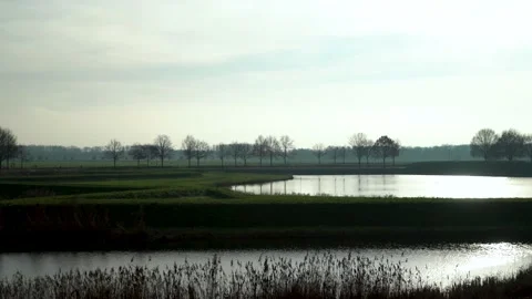 Landscape with river and trees flat Stock Footage 145156868