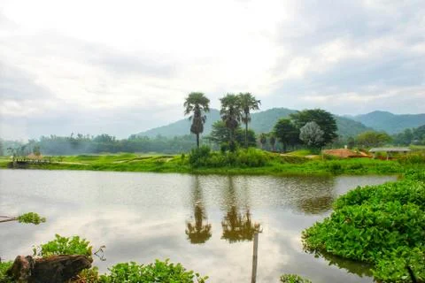 Landscape with river and trees Stock Photos