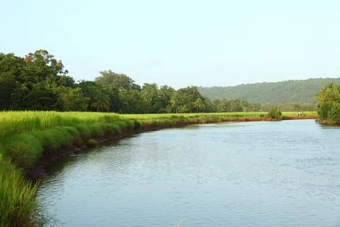 Landscape with river and trees Stock Photos