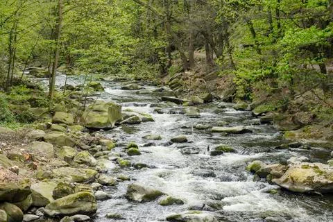 Landscape with river Bode in the Harz area, Germany Stock Photos