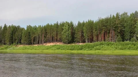 Landscape - river, fast current, and steep forest shore Stockbeeldmateriaal 52485696