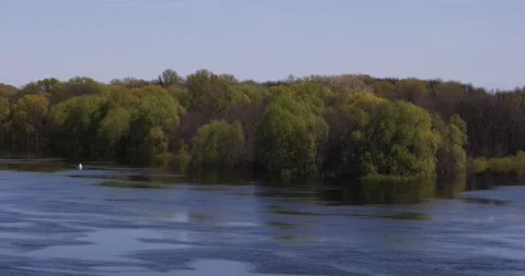 Landscape with river flooding, forest in spring. Stock Footage 194475395