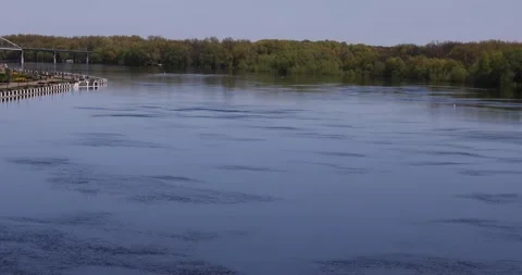 Landscape with river flooding, forest in spring. Stock Footage 194475883