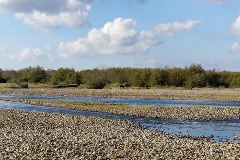 Landscape with a river in the floodplain of the river. Stock Photos