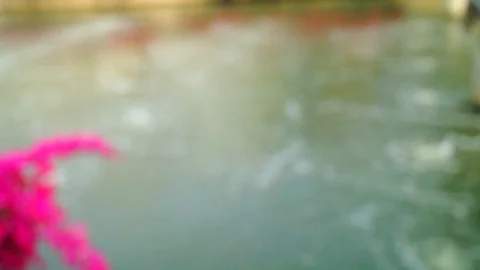 The landscape of river flows Video stock 87315085