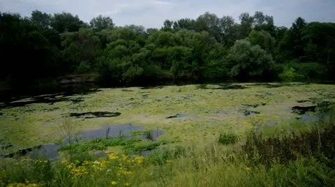 Landscape with river Stock Footage 11478132