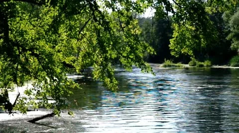 Landscape with river Stock Footage 11521363