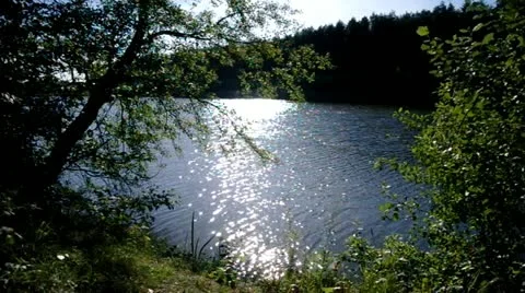 Landscape with river Stock Footage 11521649