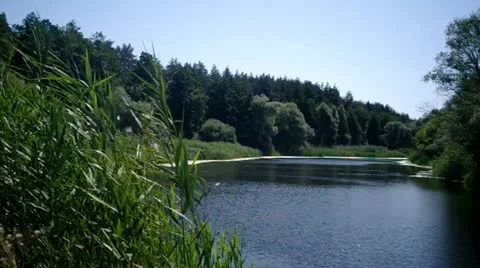 Landscape with river Stock Footage 11806792