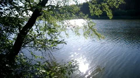 Landscape with river Stock Footage 11807086
