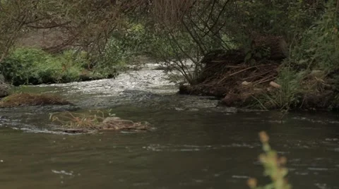 Landscape, River Stock Footage 41580571