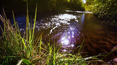 Landscape with the river. Vidéo 49444244